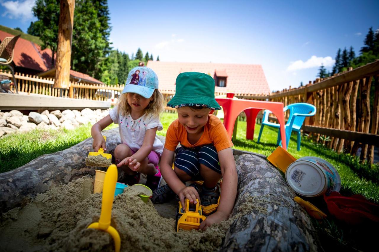 Naturpark Huette Mandl, Biobauernhof & Huettenurlaub Sankt Lambrecht Exterior foto