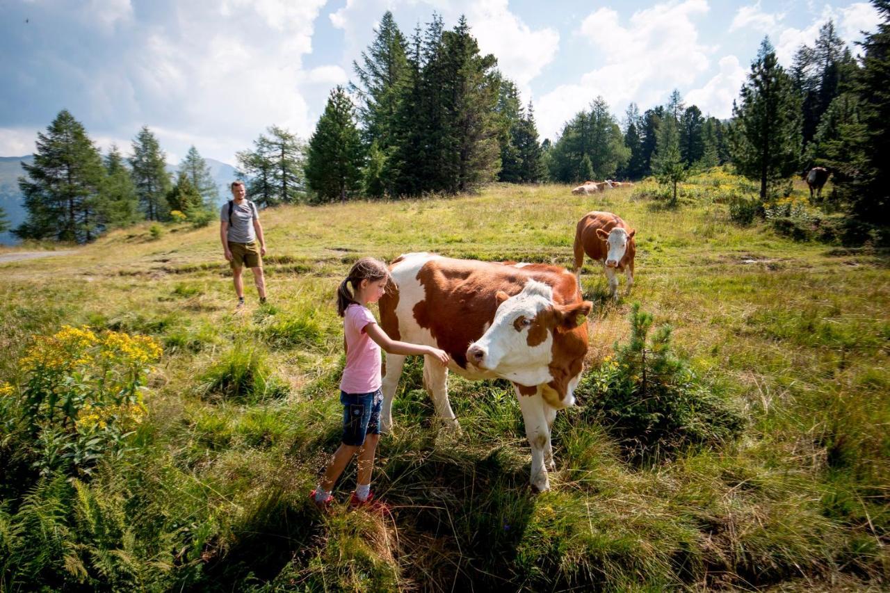 Naturpark Huette Mandl, Biobauernhof & Huettenurlaub Sankt Lambrecht Exterior foto