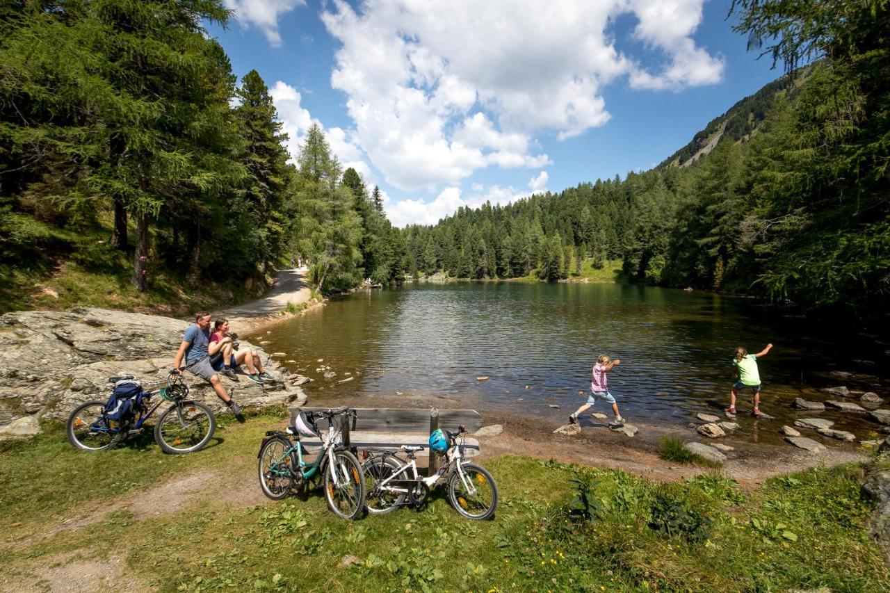 Naturpark Huette Mandl, Biobauernhof & Huettenurlaub Sankt Lambrecht Exterior foto