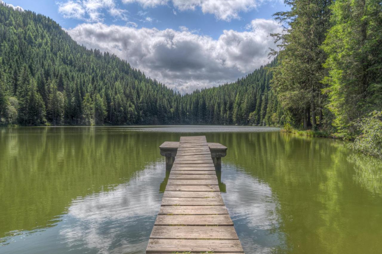 Naturpark Huette Mandl, Biobauernhof & Huettenurlaub Sankt Lambrecht Exterior foto
